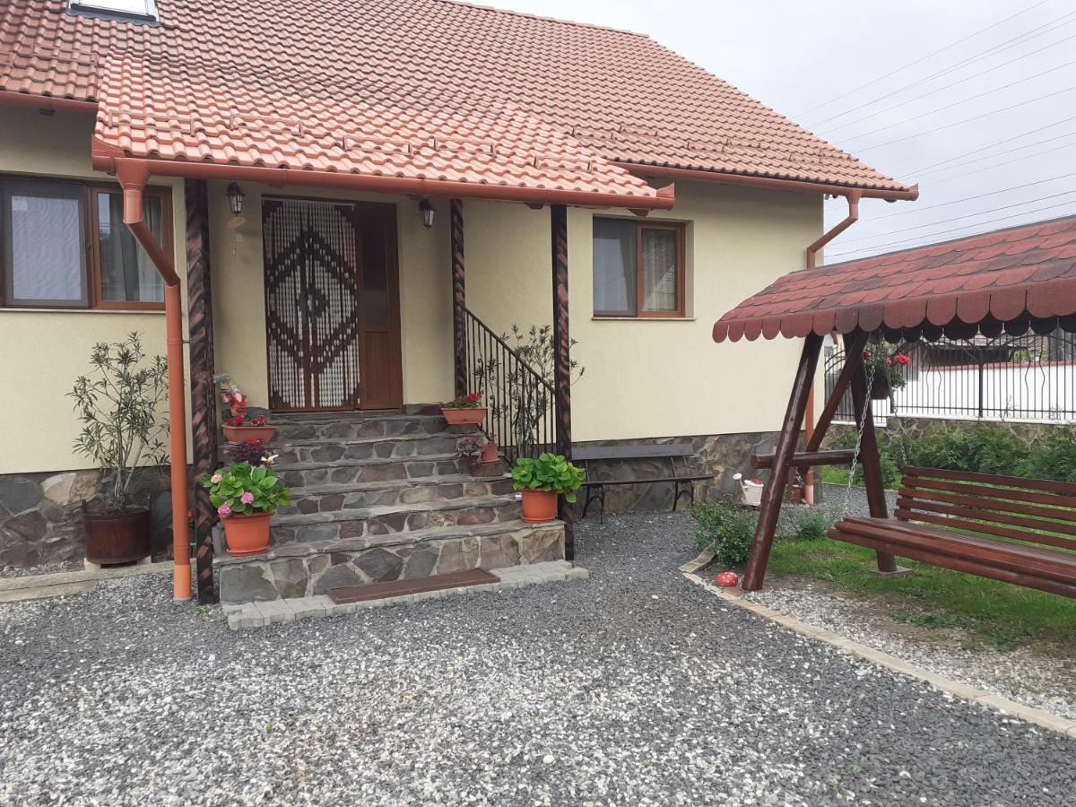 Hotel Casa Raisa & Maria à Ocna Sibiului Extérieur photo