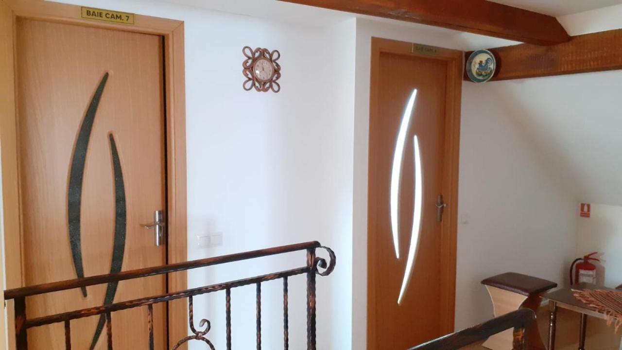 Hotel Casa Raisa & Maria à Ocna Sibiului Extérieur photo