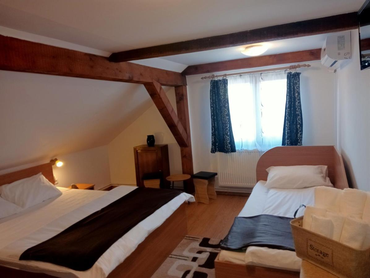 Hotel Casa Raisa & Maria à Ocna Sibiului Extérieur photo