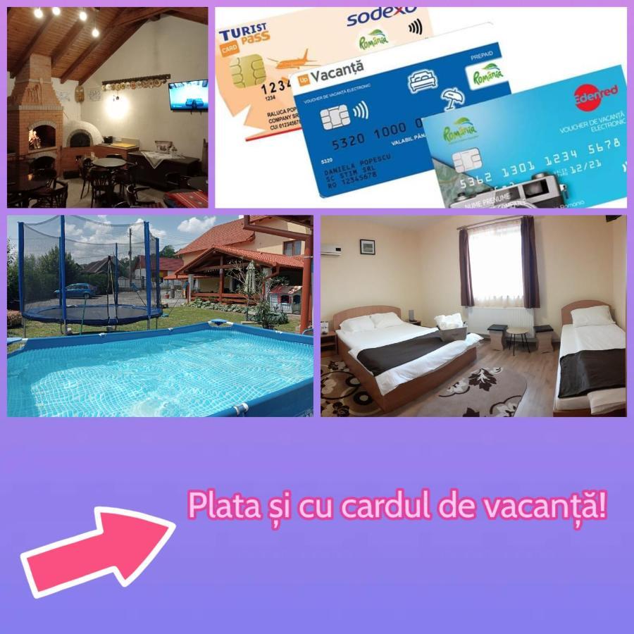 Hotel Casa Raisa & Maria à Ocna Sibiului Extérieur photo