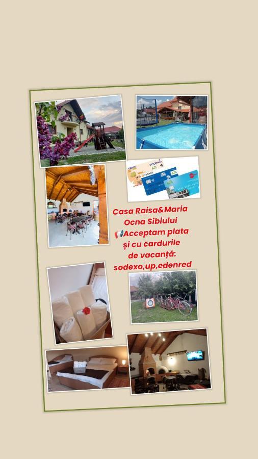 Hotel Casa Raisa & Maria à Ocna Sibiului Extérieur photo