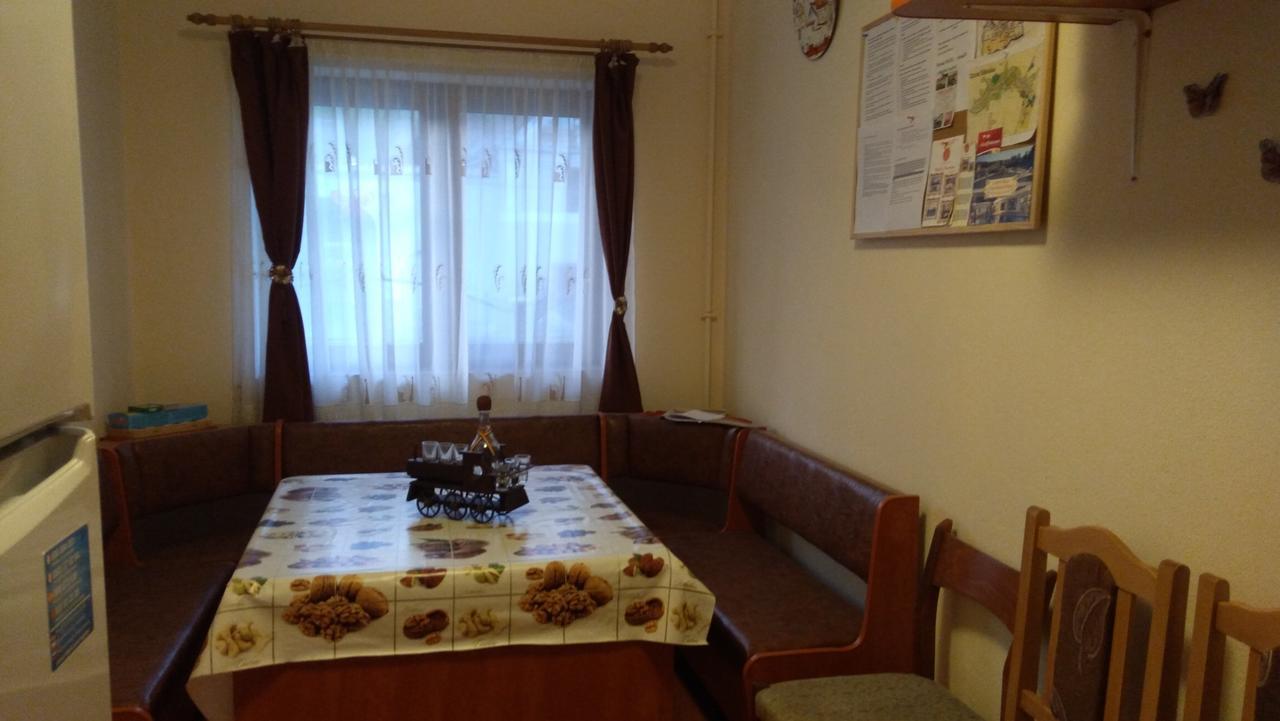 Hotel Casa Raisa & Maria à Ocna Sibiului Extérieur photo